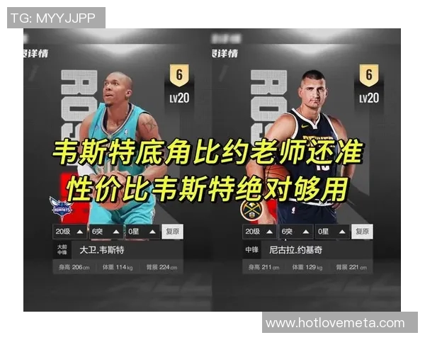 留学生篮球球员数据对比分析与影响因素探讨